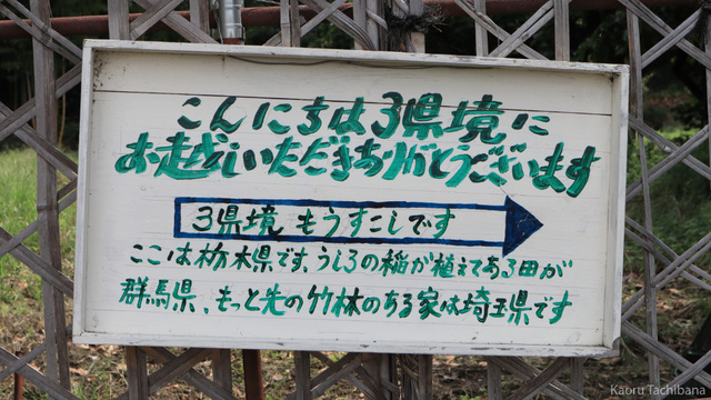 IMG_0277e.jpg