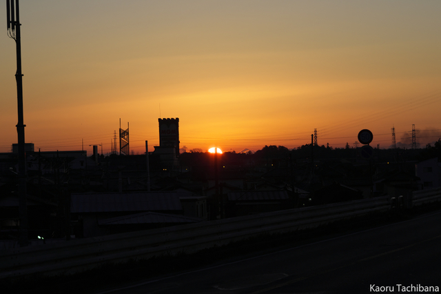 P1030253.jpg