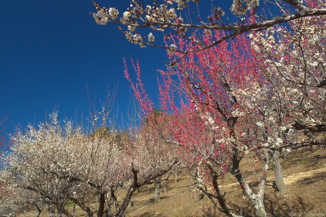 P3022765.jpg