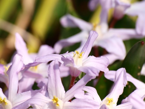 P3204474_t.jpg