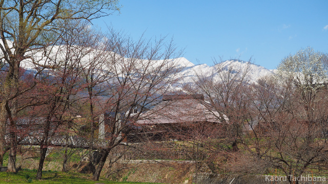 P4130194_05.jpg