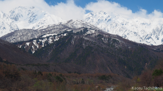 P4130213_09.jpg