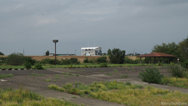P9080045.jpg
