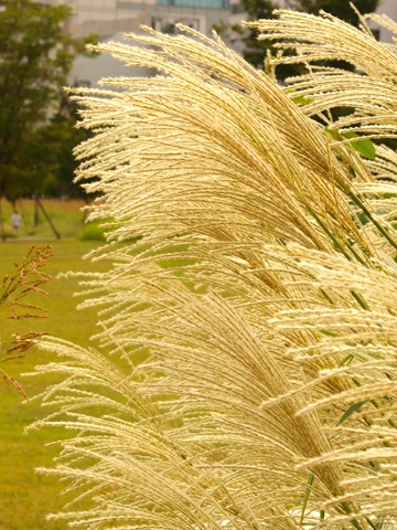 P9239953_t.jpg