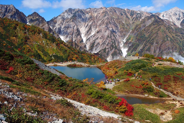 八方池の紅葉 とっとっとだより