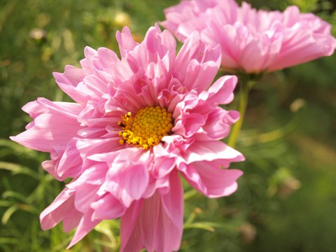 PA181150_t.JPG