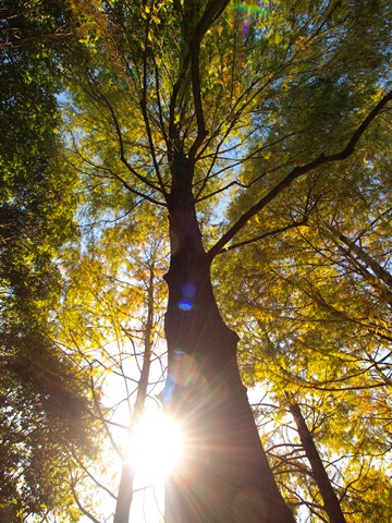 PB031740_t.jpg