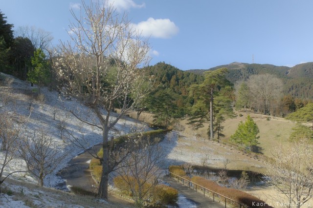 R0004687.JPG