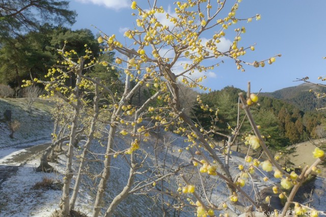 R0004688.JPG